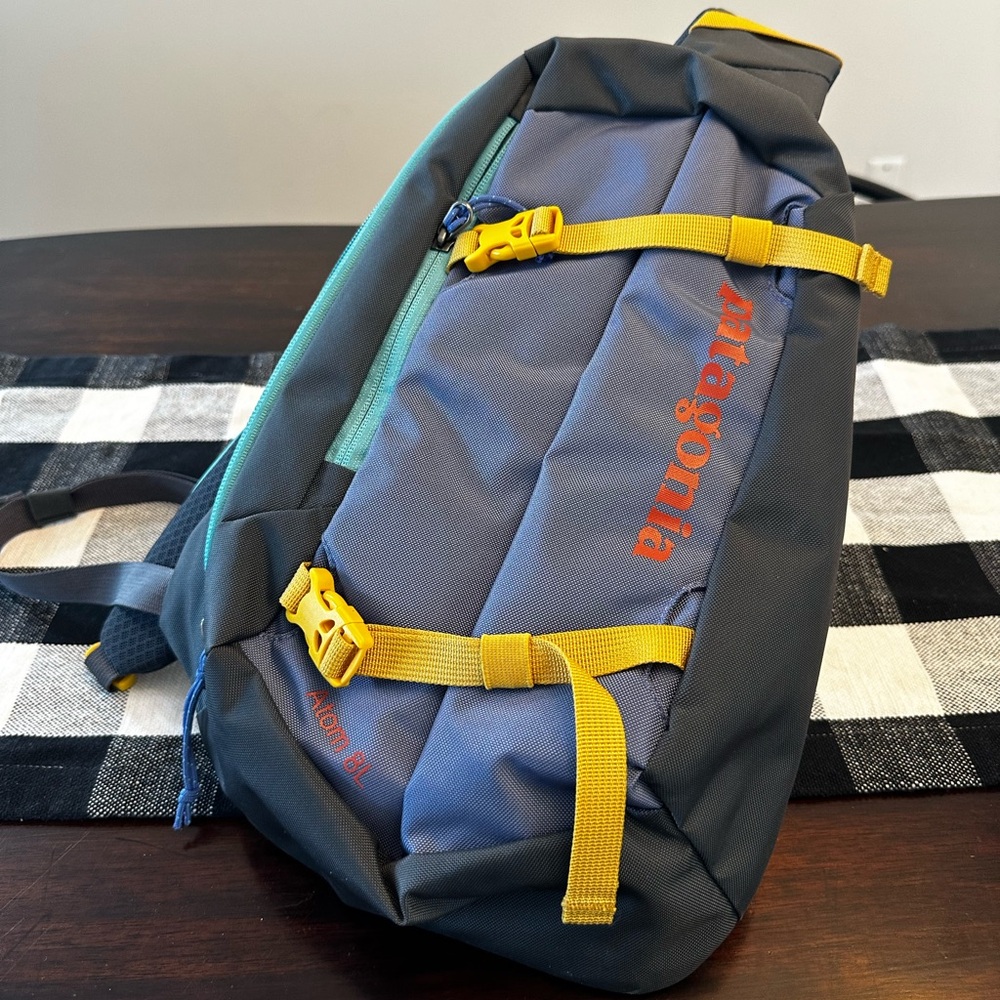 Patagonia bag